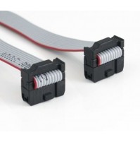 Cavo Piatto Flat Cable 3M 10 poli con 2 connettori femmina - lunghezza 100 cm