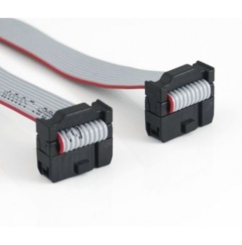 Cavo Piatto Flat Cable 3M 10 poli con 2 connettori femmina - lunghezza 50 cm