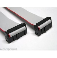Cavo Piatto Flat Cable 3M 20 poli con 2 connettori femmina - lunghezza custom