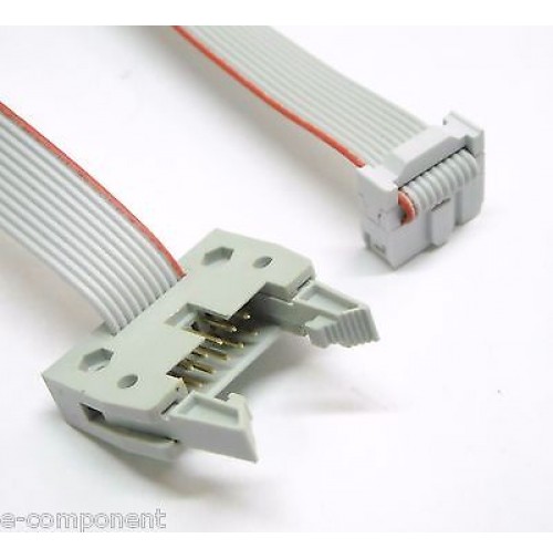 Cavo Prolunga Flat Cable 3M 10 poli con 2 connettori M-F - lunghezza 30 cm