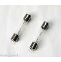 FUSIBILI IN VETRO RITARDATO TIPO T 315mA 250V 6x30mm (confezione di 2 fusibili)