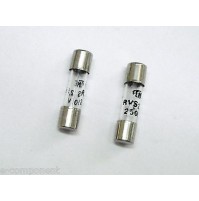 FUSIBILI IN VETRO TIPO RVS SUPER RAPIDO 2,5A 250V 5x20mm Marca OMEGA (2 Pezzi)