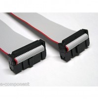 Cavo Piatto Flat Cable 3M 20 poli con 2 connettori femmina - lunghezza 300 cm