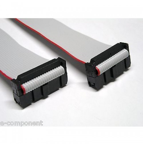 Cavo Piatto Flat Cable 3M 20 poli con 2 connettori femmina - lunghezza 300 cm